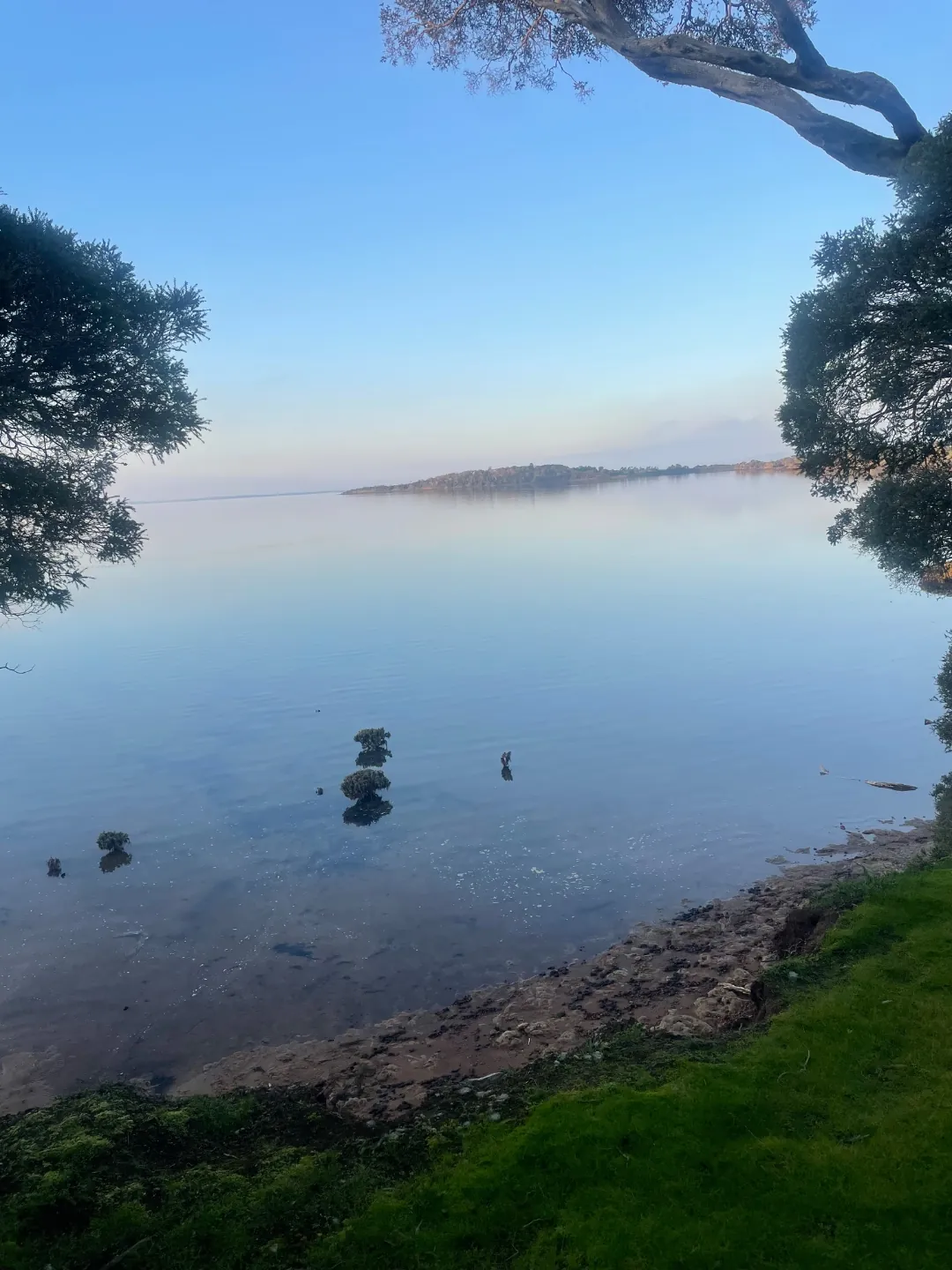 Calm still lake at dawn with serene reflections